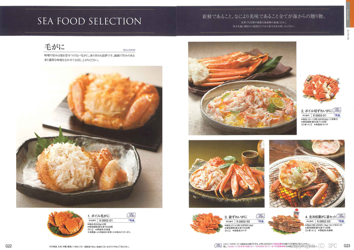 �J�^���O�M�t�g�E�G�X�v���@�N���V�J���R�[�X