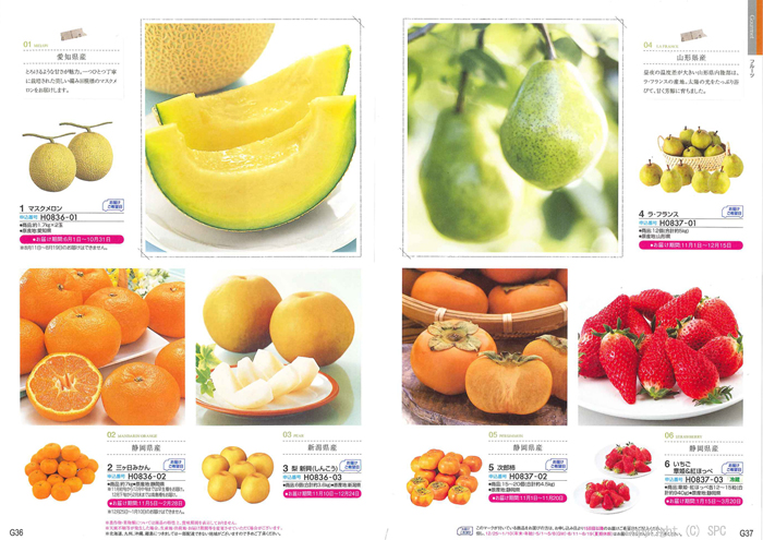 �J�^���O�M�t�g�E�G�X�v���@�J���g���[�R�[�X