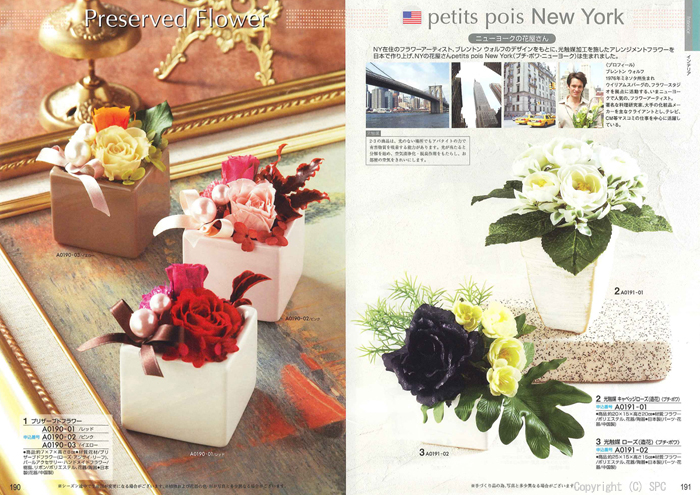 �J�^���O�M�t�g�E�G�X�v���@�s���A�R�[�X