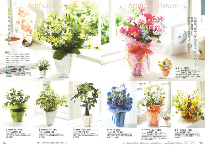 �J�^���O�M�t�g�E�G�X�v���@�s���A�R�[�X