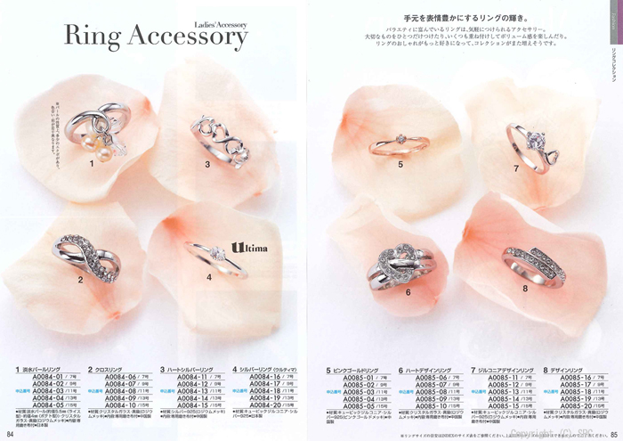 �J�^���O�M�t�g�E�G�X�v���@�s���A�R�[�X