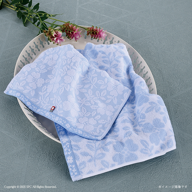 コンビネーションギフト　たん熊北店　鶏釜めしの素・フリーズドライ＆はなみずき　今治タオルセット　No.100　割引き商品