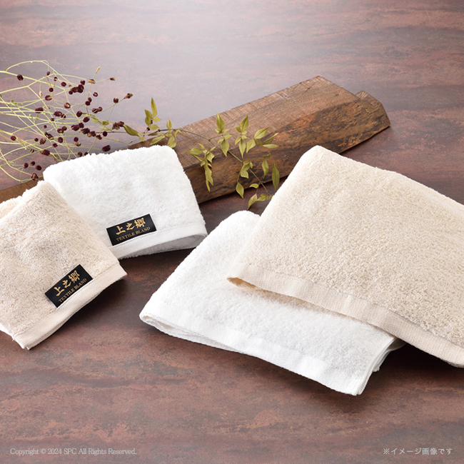 【送料無料】 コンビネーションギフト　たん熊北店・博多華味鳥バラエティギフト＆泉州タオルセット　No.160