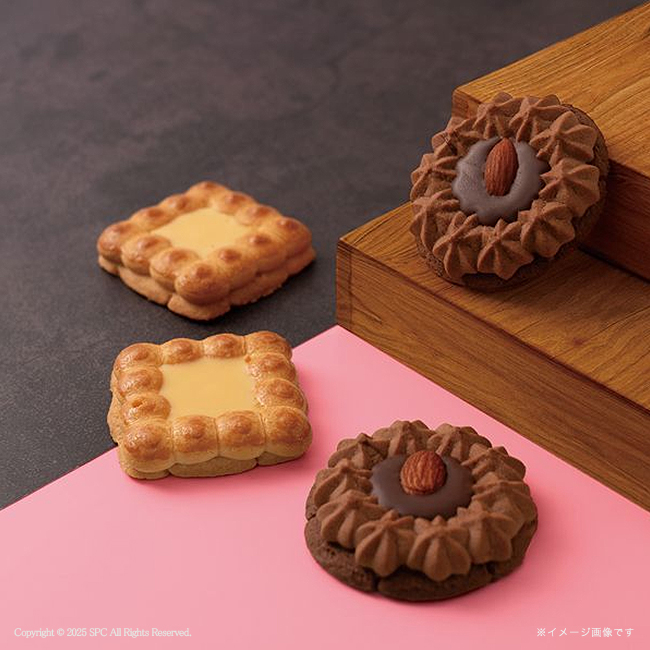 アマンド デュール・マリーケーキセット No.20