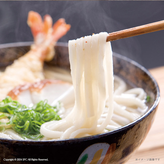 麺匠庵 無塩うどん 一生健麺 No.15