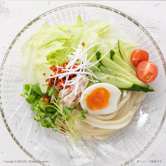 麺匠庵 無塩うどん 一生健麺 No.15