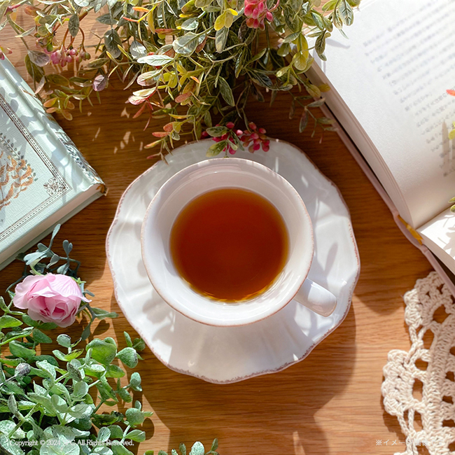 ネスカフェ・リプトン・はちみつギフト　No.20　割引き商品