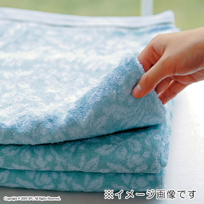 しまなみ匠の彩 タオルセット No.50