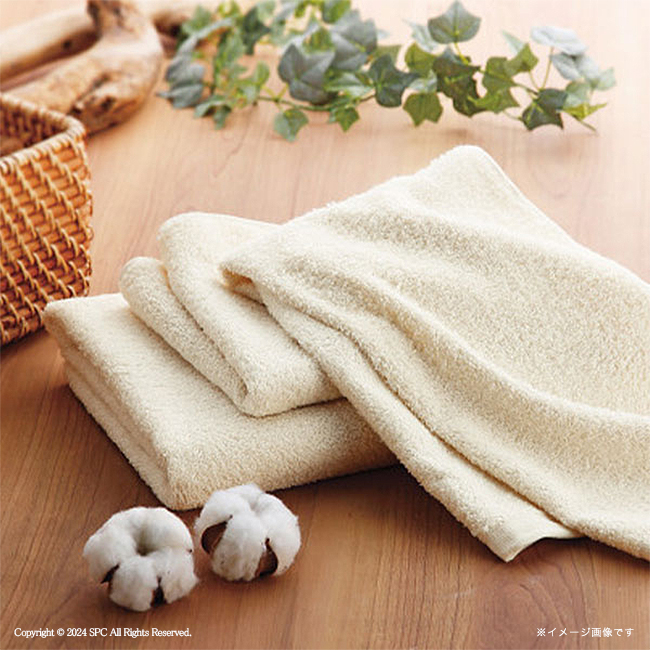 オーガニックコットンフェイスタオル　No.10　割引き商品