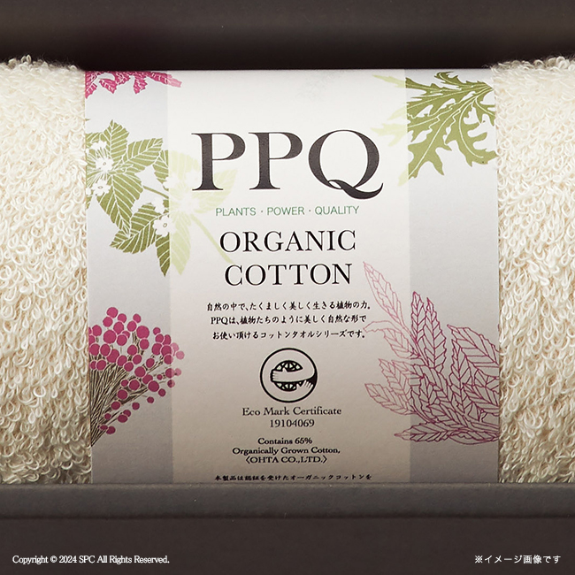 オーガニックコットンフェイスタオル　No.10　割引き商品