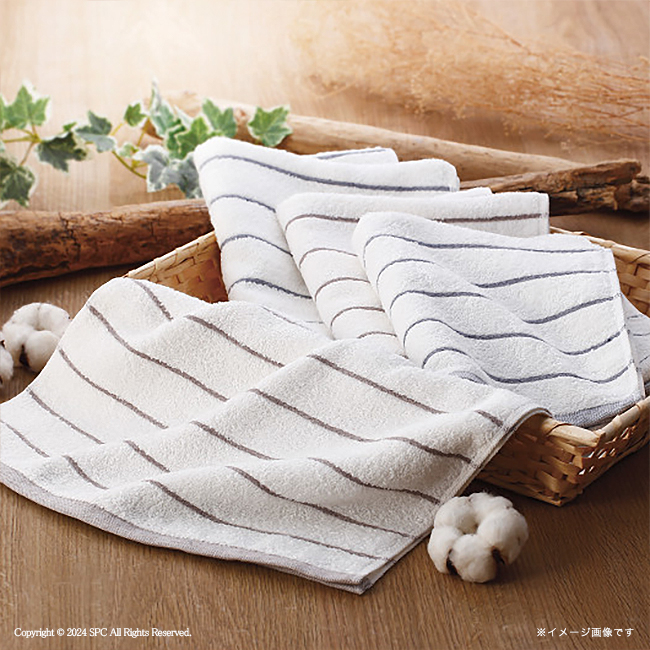 ナチュラルフェイス　ボーダーフェイスタオル2枚セット　No.15　割引き商品