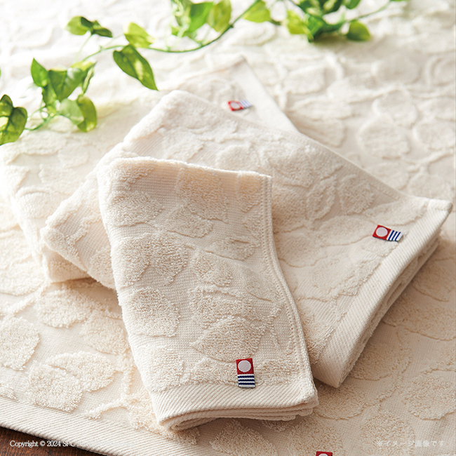 グリーンモード　フェイス・ウォッシュタオルセット　No.25　割引き商品