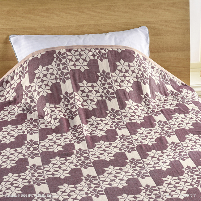 和ガーゼ　泉州産　やわらか重ね織り4重ガーゼ毛布　No.100　割引き商品