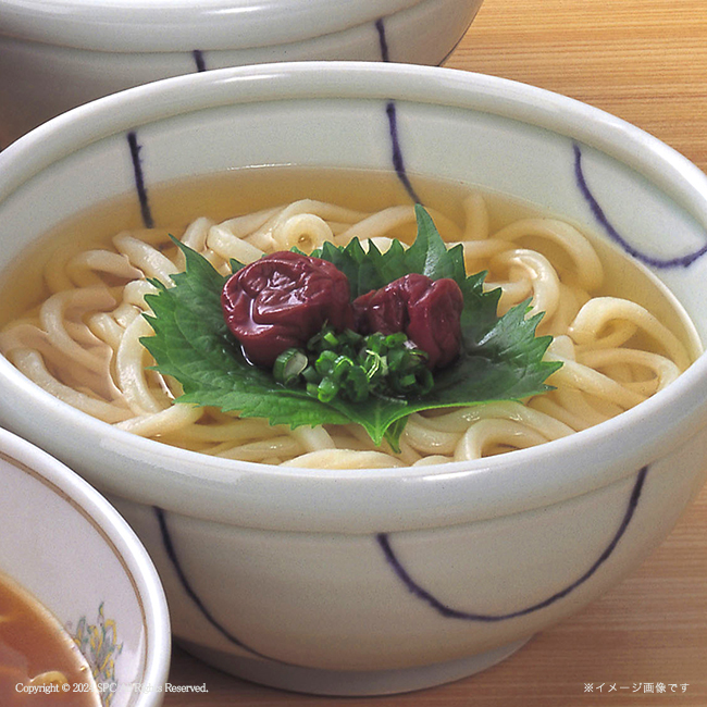 讃岐の麺々　四季の味工房　No.10　割引き商品