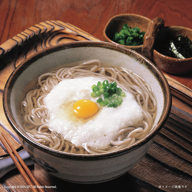 信州そば・讃岐うどん詰合せ No.10（エコのし限定）【割引きクーポン