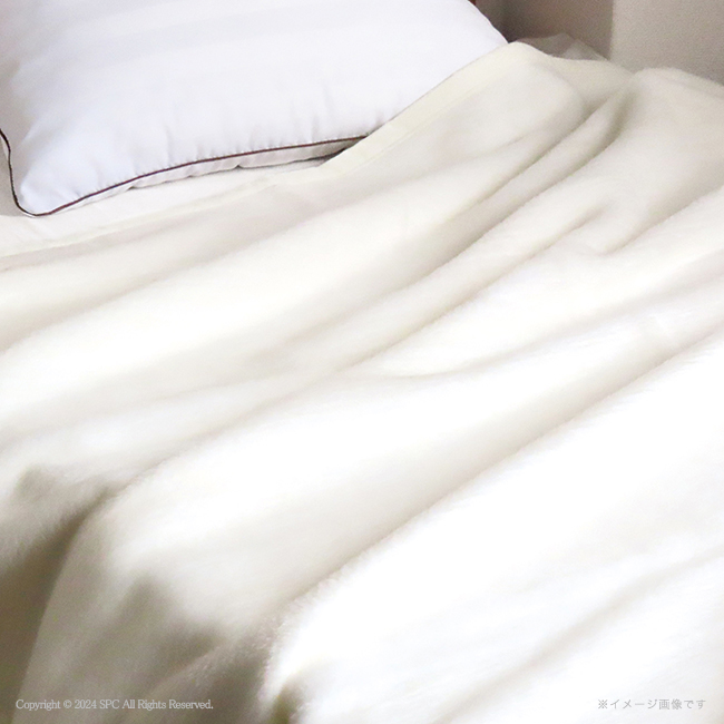 mayu あらう 洗えるシルク混毛布(毛羽部分)2枚セット No.300