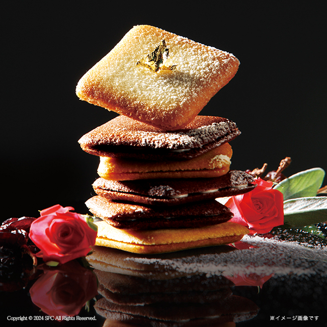 Tresore　Dolce　フルーツカラーバウム＆ラングドシャ　No.30｜特選ギフト｜