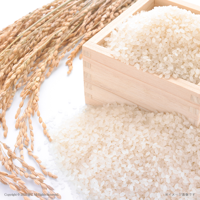 千莉菴　からだにやさしさ＋　国産フリーズドライ　ほうおうスープ　「金賞健康米」セット　No.36｜特選ギフト｜