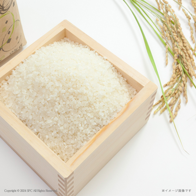 【送料無料】 金賞銀賞　食べくらべ海苔GIFT　No.115