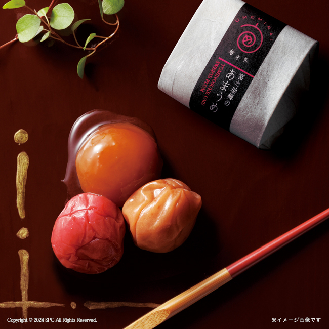 梅未来 紀州南高梅5種詰合せ No.53