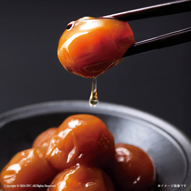 梅未来 紀州南高梅5種詰合せ No.53