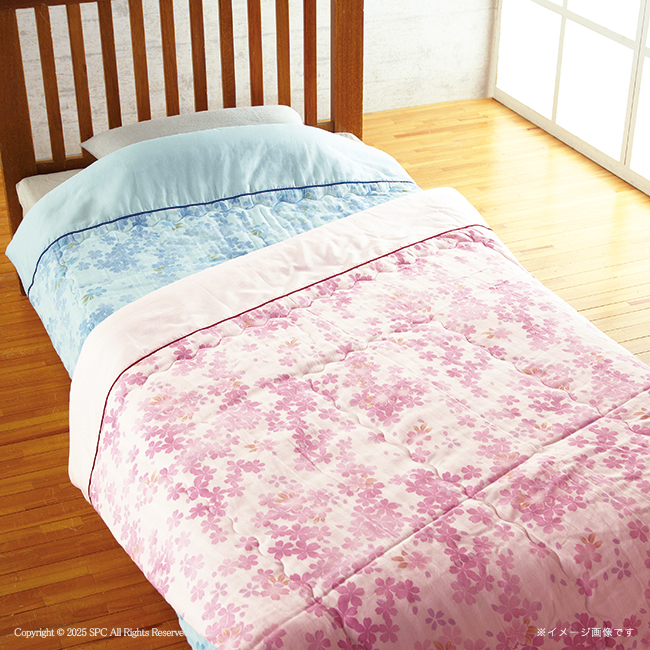 【送料無料】 和の色彩　三河木綿　ダブルガーゼ肌布団2P　No.200