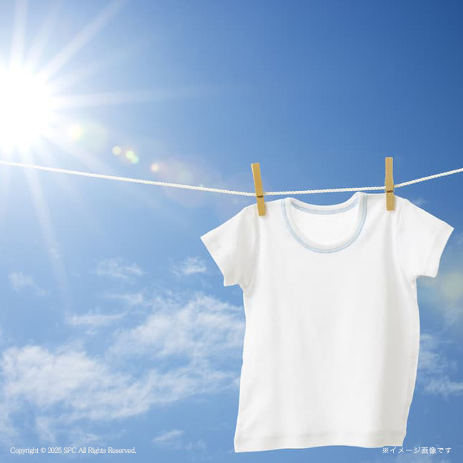 【送料無料】 ギフト工房　アリエール抗菌除菌ギフト　No.50