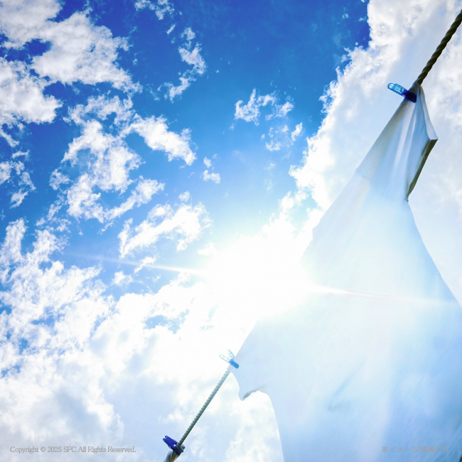 【送料無料】 ギフト工房　抗菌消臭EXギフト　No.30