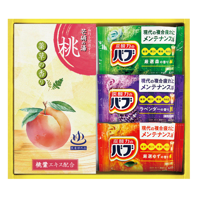 【送料無料】 炭酸力の薬用入浴剤セット　No.10