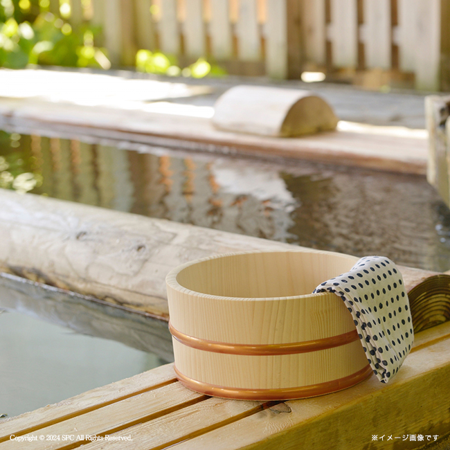 【送料無料】 炭酸力の薬用入浴剤セット　No.15