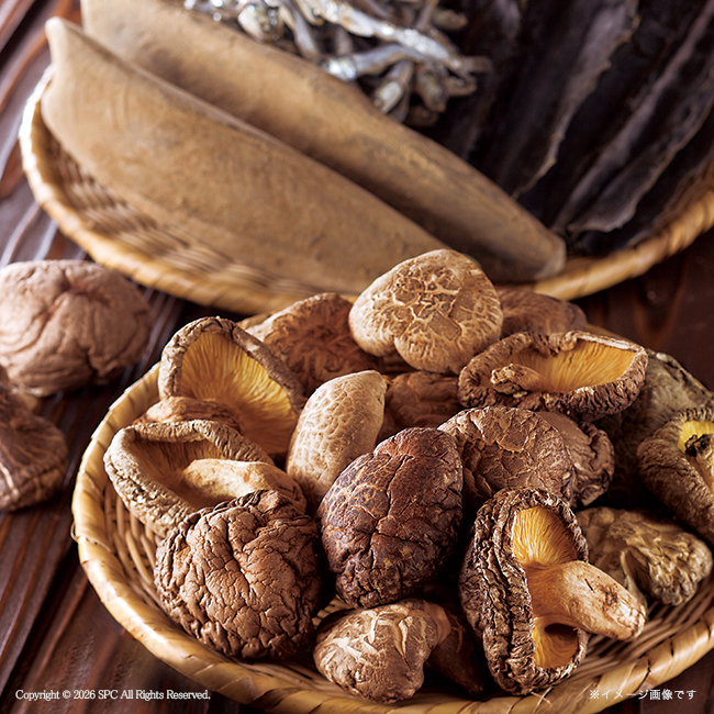 【送料無料】 大分産椎茸どんこ　No.50