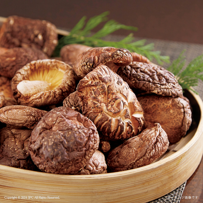 【送料無料】 大分産椎茸どんこ　No.50