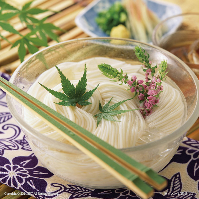 【送料無料】 三輪素麺　No.10