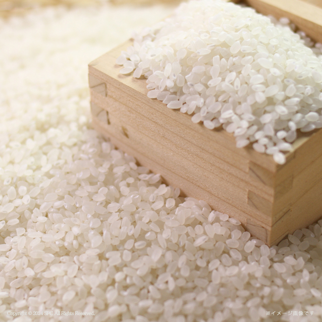 【送料無料】 初代田蔵　五つ星マイスター厳選・新潟県産こしひかり味わいギフト　No.30