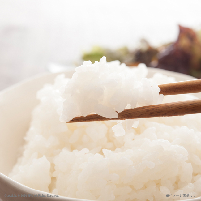 【送料込み商品】 初代　田蔵　選りすぐり食べくらべ　お米ギフトセット　No.30