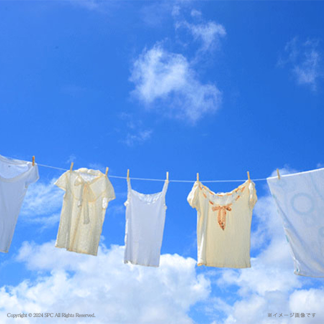 【送料無料】 ナノ洗浄バラエティ洗剤セット　No.80