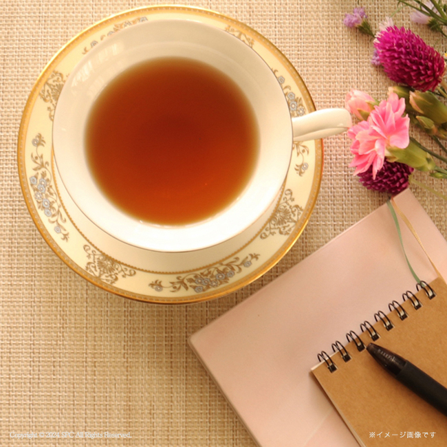 ドトールコーヒーギフト No.50
