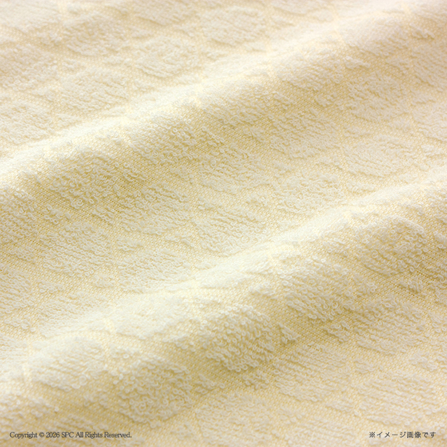 伊布季〈IBUKI〉　今治　フェイスタオル2Pセット　No.15　割引き商品