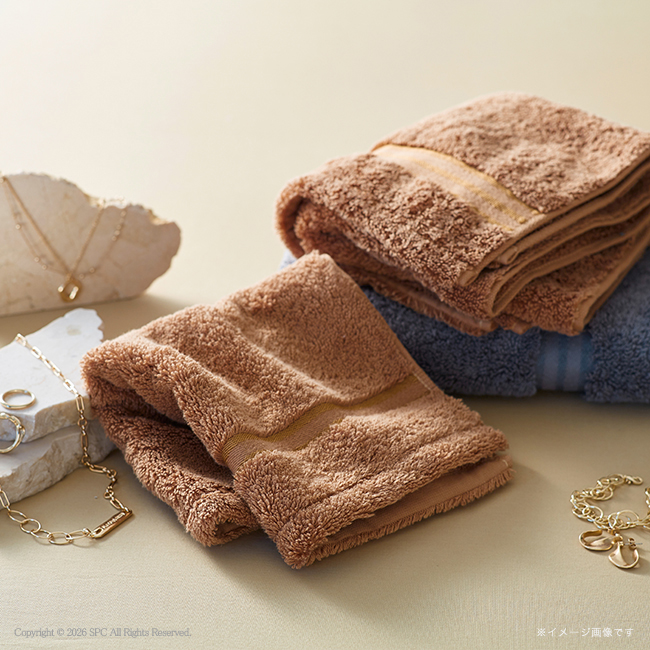 TEDDY　ASH〈テディアッシュ〉　ハンドタオル　No.5　（ベージュ）｜特選ギフト｜