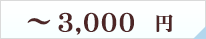 ～3000円