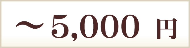 ～5000円