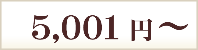 5001円～