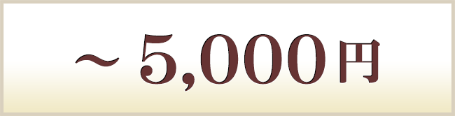 ～5000円