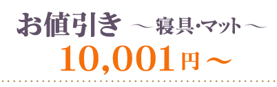 お値引き洗剤・バス～10001円