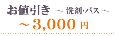 お値引き洗剤・バス～3000円