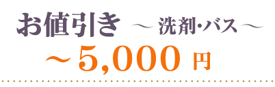 お値引き洗剤ソープ～5000円