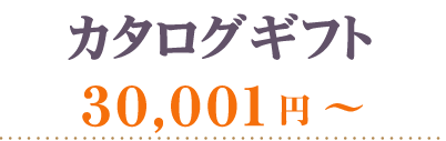 カタログギフト30001円