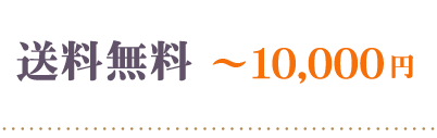 送料無料1万円