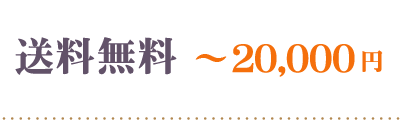 送料無料2万円
