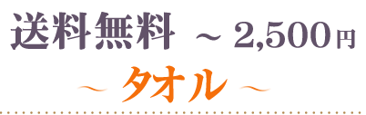 送料無料～2500円タオル
